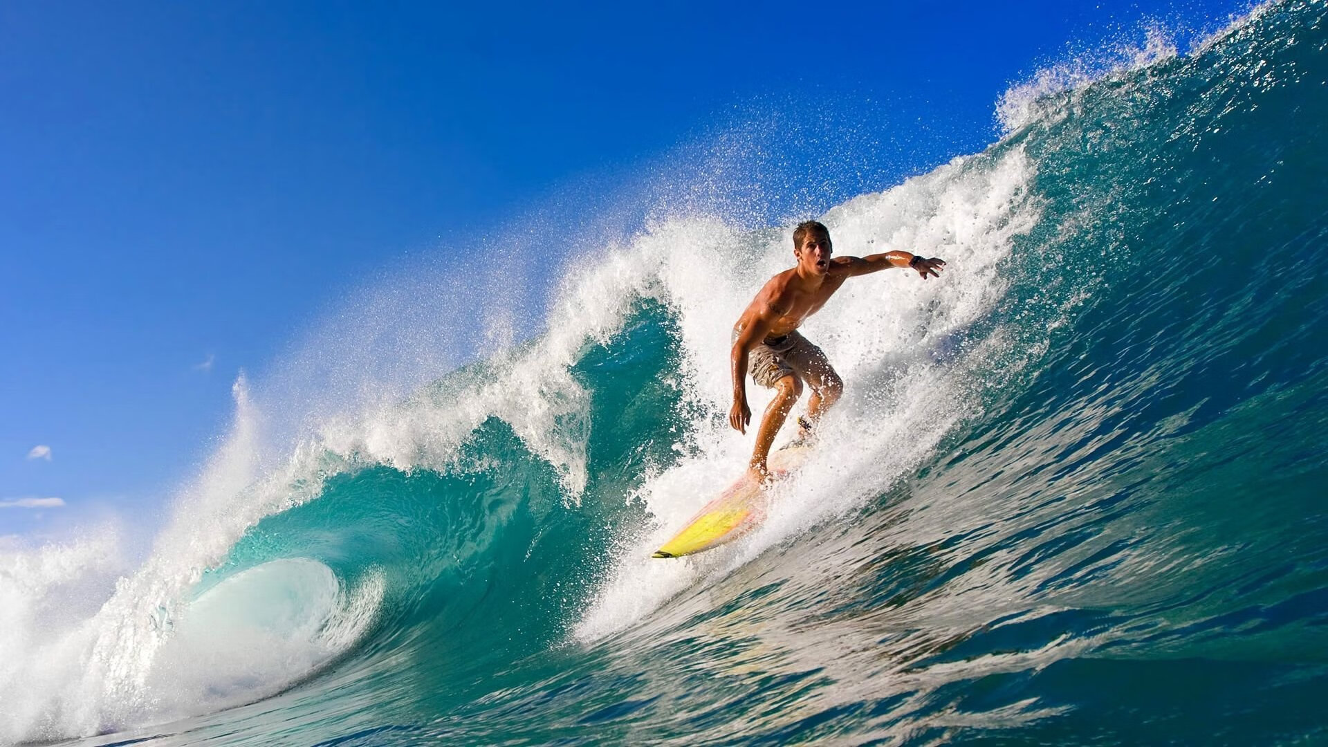 爱德华兹十大暴扣